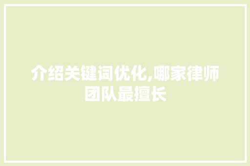 介绍关键词优化,哪家律师团队最擅长