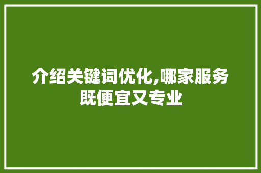 介绍关键词优化,哪家服务既便宜又专业