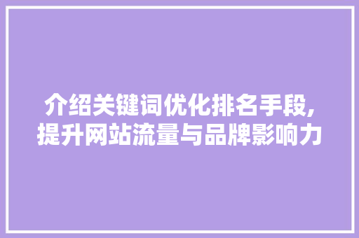 介绍关键词优化排名手段,提升网站流量与品牌影响力的方法