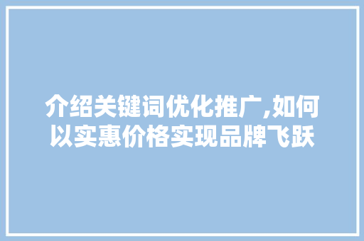 介绍关键词优化推广,如何以实惠价格实现品牌飞跃
