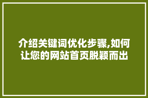介绍关键词优化步骤,如何让您的网站首页脱颖而出