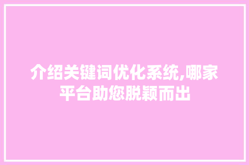 介绍关键词优化系统,哪家平台助您脱颖而出