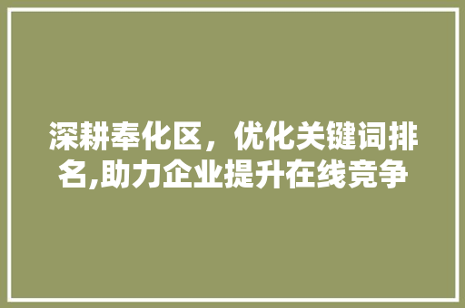 深耕奉化区，优化关键词排名,助力企业提升在线竞争力