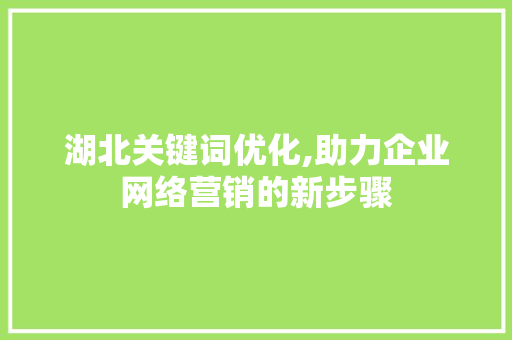 湖北关键词优化,助力企业网络营销的新步骤