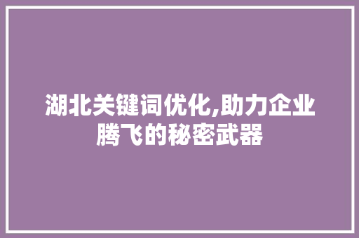 湖北关键词优化,助力企业腾飞的秘密武器