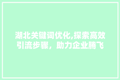 湖北关键词优化,探索高效引流步骤，助力企业腾飞