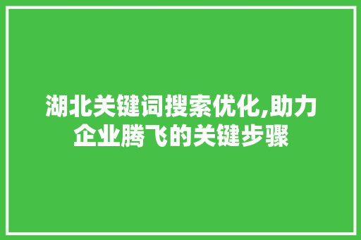 湖北关键词搜索优化,助力企业腾飞的关键步骤