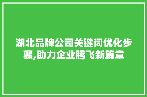 湖北品牌公司关键词优化步骤,助力企业腾飞新篇章