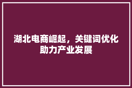 湖北电商崛起，关键词优化助力产业发展