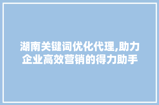 湖南关键词优化代理,助力企业高效营销的得力助手