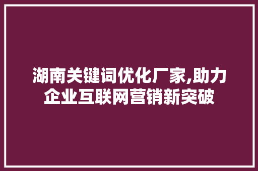 湖南关键词优化厂家,助力企业互联网营销新突破