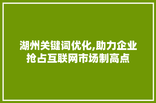湖州关键词优化,助力企业抢占互联网市场制高点