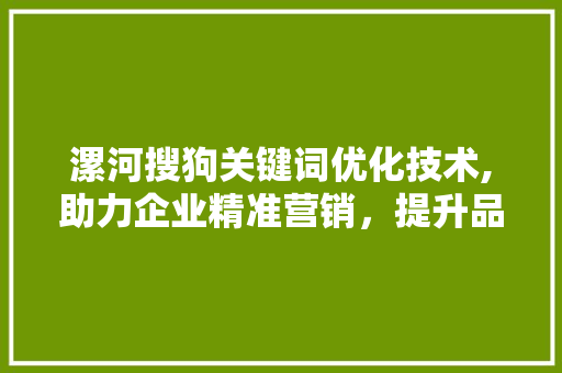 漯河搜狗关键词优化技术,助力企业精准营销，提升品牌影响力