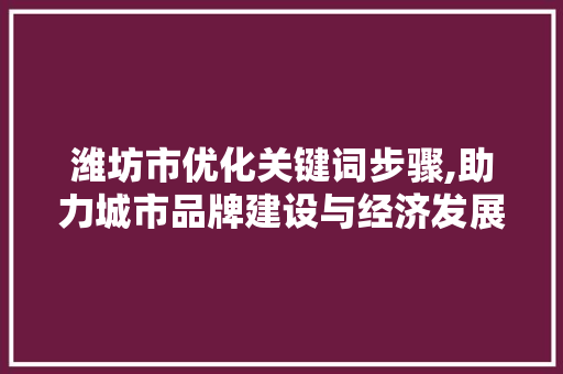潍坊市优化关键词步骤,助力城市品牌建设与经济发展