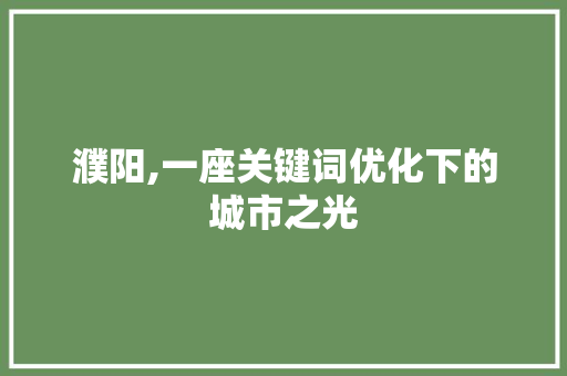 濮阳,一座关键词优化下的城市之光