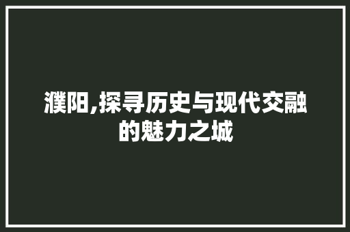 濮阳,探寻历史与现代交融的魅力之城