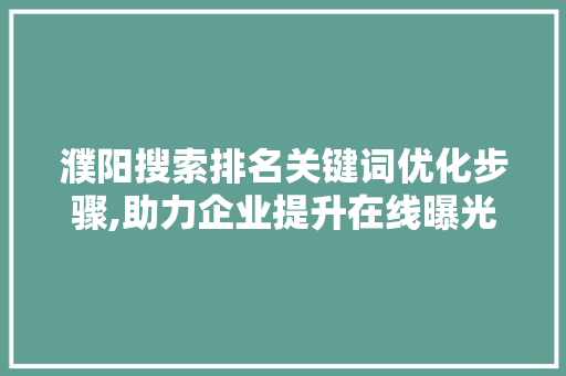 濮阳搜索排名关键词优化步骤,助力企业提升在线曝光度