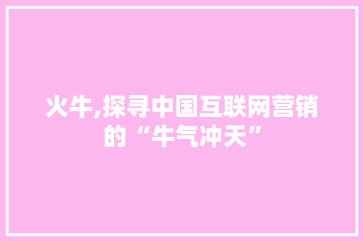 火牛,探寻中国互联网营销的“牛气冲天”