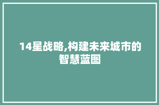 14星战略,构建未来城市的智慧蓝图