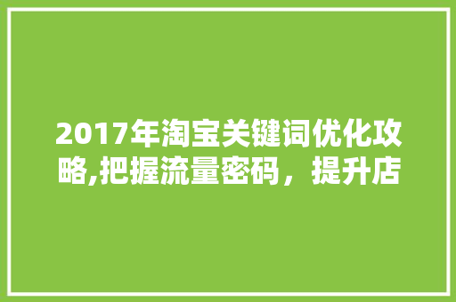 2017年淘宝关键词优化攻略,把握流量密码，提升店铺销量