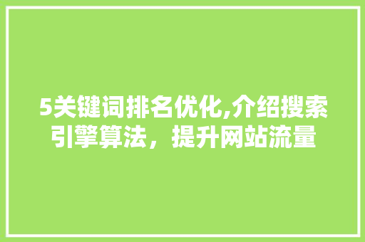5关键词排名优化,介绍搜索引擎算法，提升网站流量