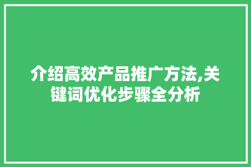介绍高效产品推广方法,关键词优化步骤全分析