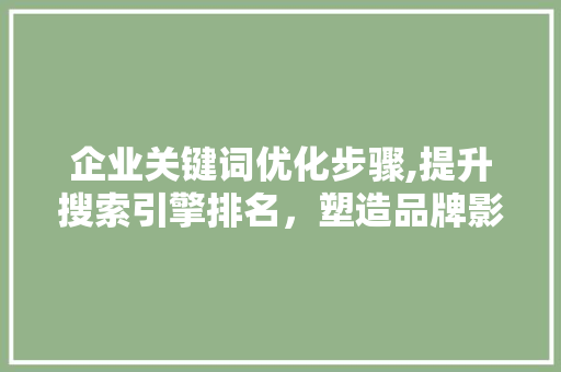 企业关键词优化步骤,提升搜索引擎排名，塑造品牌影响力