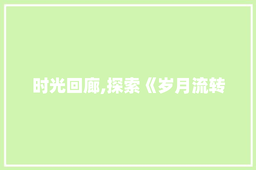 时光回廊,探索《岁月流转 前端技术