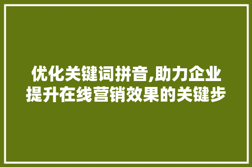 优化关键词拼音,助力企业提升在线营销效果的关键步骤
