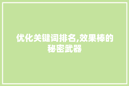 优化关键词排名,效果棒的秘密武器