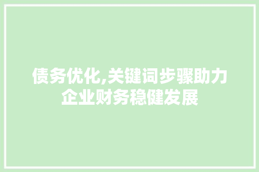 债务优化,关键词步骤助力企业财务稳健发展