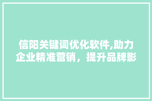 信阳关键词优化软件,助力企业精准营销，提升品牌影响力