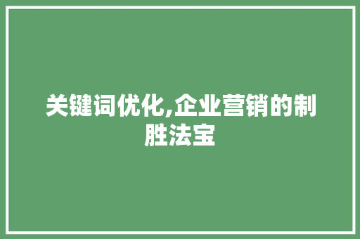 关键词优化,企业营销的制胜法宝