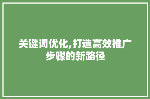 关键词优化,打造高效推广步骤的新路径