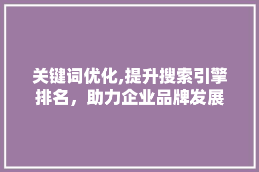 关键词优化,提升搜索引擎排名，助力企业品牌发展