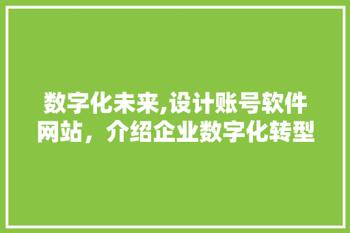 数字化未来,设计账号软件网站，介绍企业数字化转型新篇章 网站建设