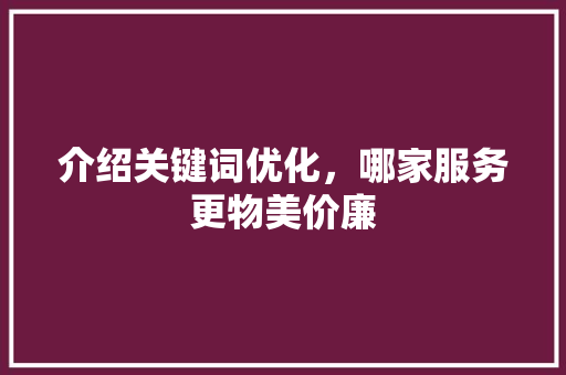 介绍关键词优化，哪家服务更物美价廉