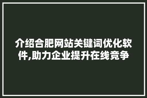 介绍合肥网站关键词优化软件,助力企业提升在线竞争力