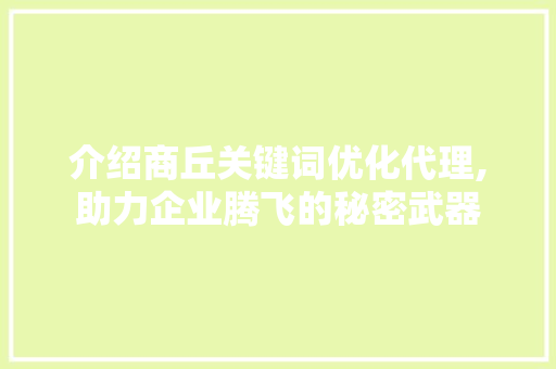 介绍商丘关键词优化代理,助力企业腾飞的秘密武器