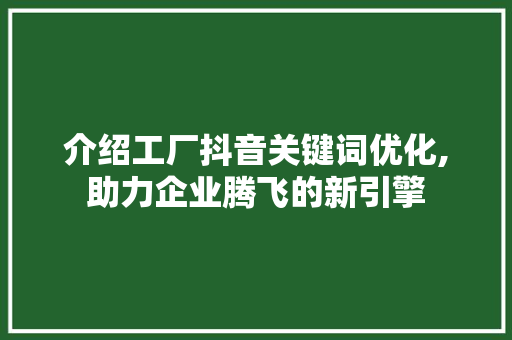 介绍工厂抖音关键词优化,助力企业腾飞的新引擎
