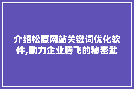 介绍松原网站关键词优化软件,助力企业腾飞的秘密武器 项目报告