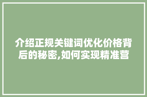 介绍正规关键词优化价格背后的秘密,如何实现精准营销