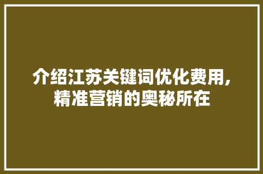 介绍江苏关键词优化费用,精准营销的奥秘所在