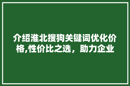 介绍淮北搜狗关键词优化价格,性价比之选，助力企业腾飞 后端技术