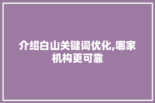 介绍白山关键词优化,哪家机构更可靠