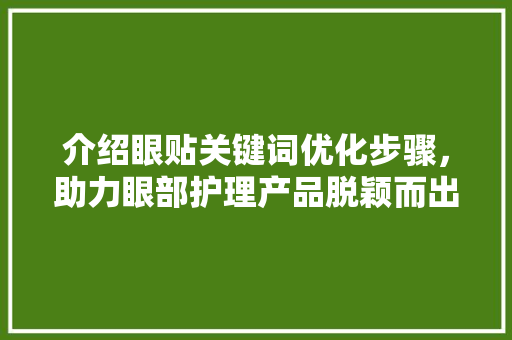 介绍眼贴关键词优化步骤，助力眼部护理产品脱颖而出