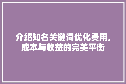 介绍知名关键词优化费用,成本与收益的完美平衡