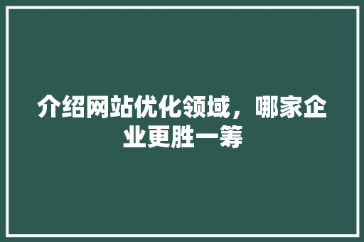 介绍网站优化领域，哪家企业更胜一筹