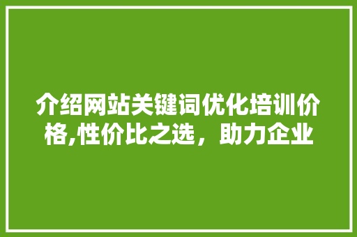 介绍网站关键词优化培训价格,性价比之选，助力企业腾飞