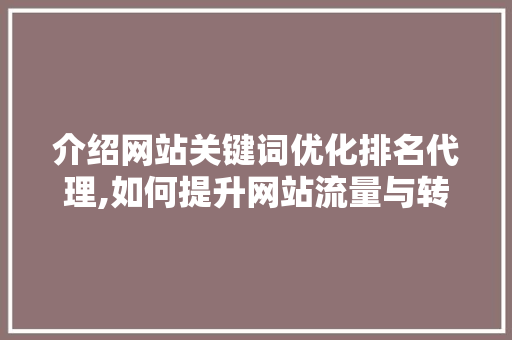 介绍网站关键词优化排名代理,如何提升网站流量与转化率 前端技术